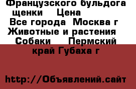 Французского бульдога щенки  › Цена ­ 35 000 - Все города, Москва г. Животные и растения » Собаки   . Пермский край,Губаха г.